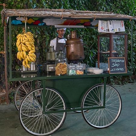 Hotel Cardamom County By Xandari Thekkady Exterior foto